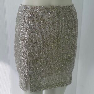 Love on a Hanger Glittering Silver Mini Skirt